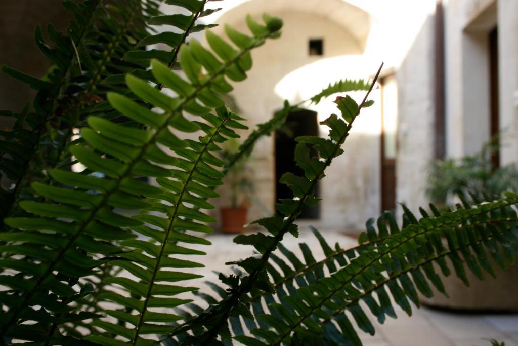 Bed & Breakfast Dimora Storica 